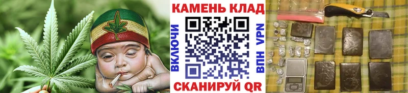 где продают наркотики  Заинск  ГАШИШ индика сатива 