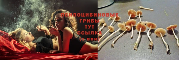 jwh Алзамай