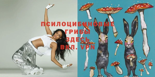 СК Алексеевка